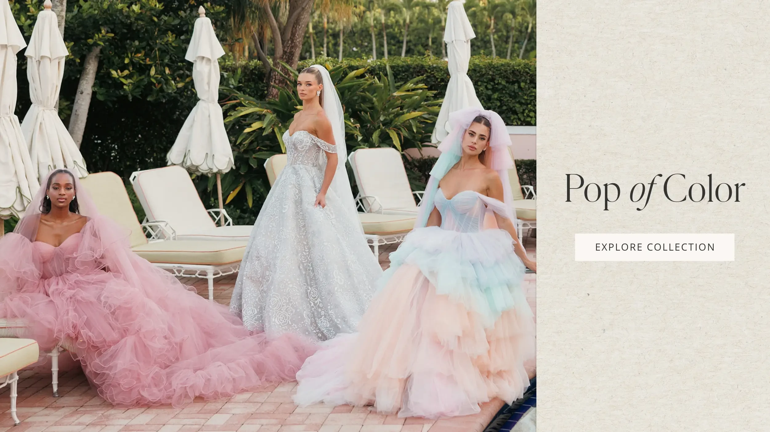 Pop of Color Mobile Banner